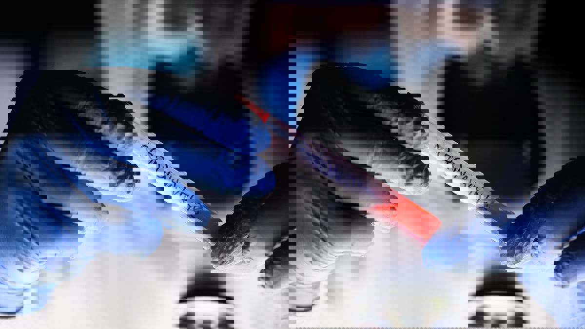 تقرير: 2022 قد يشهد تلاشي كورونا.. حبتا دواء تعززان "الفرضية"