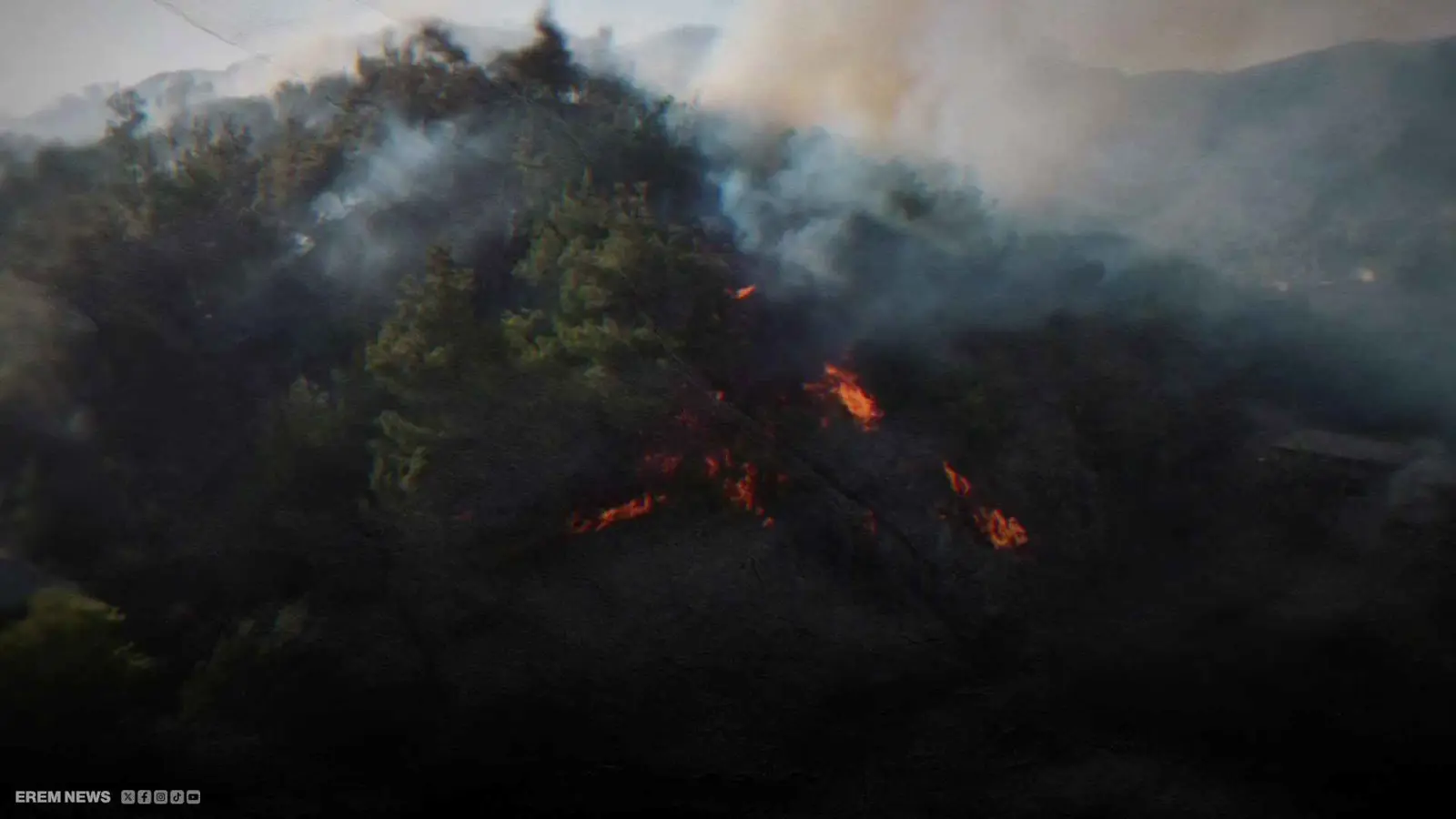 جبال اللاذقية تحتضر