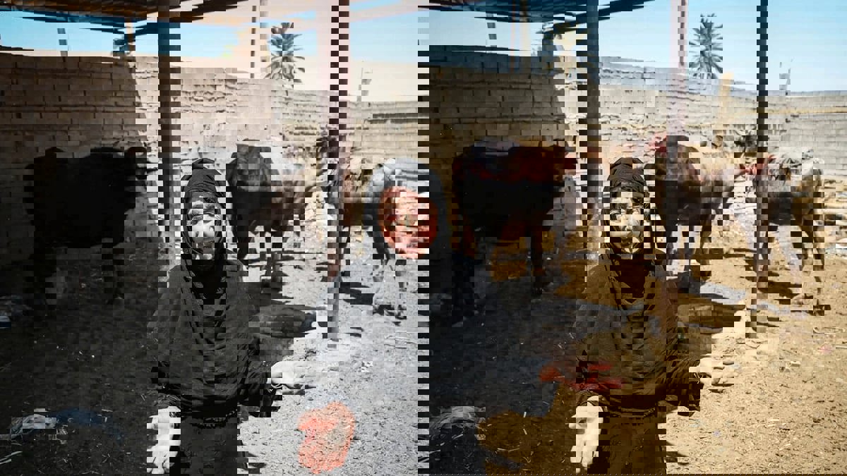 نائب إيراني: أزمة مياه الشرب في خوزستان "أسوأ" من كورونا