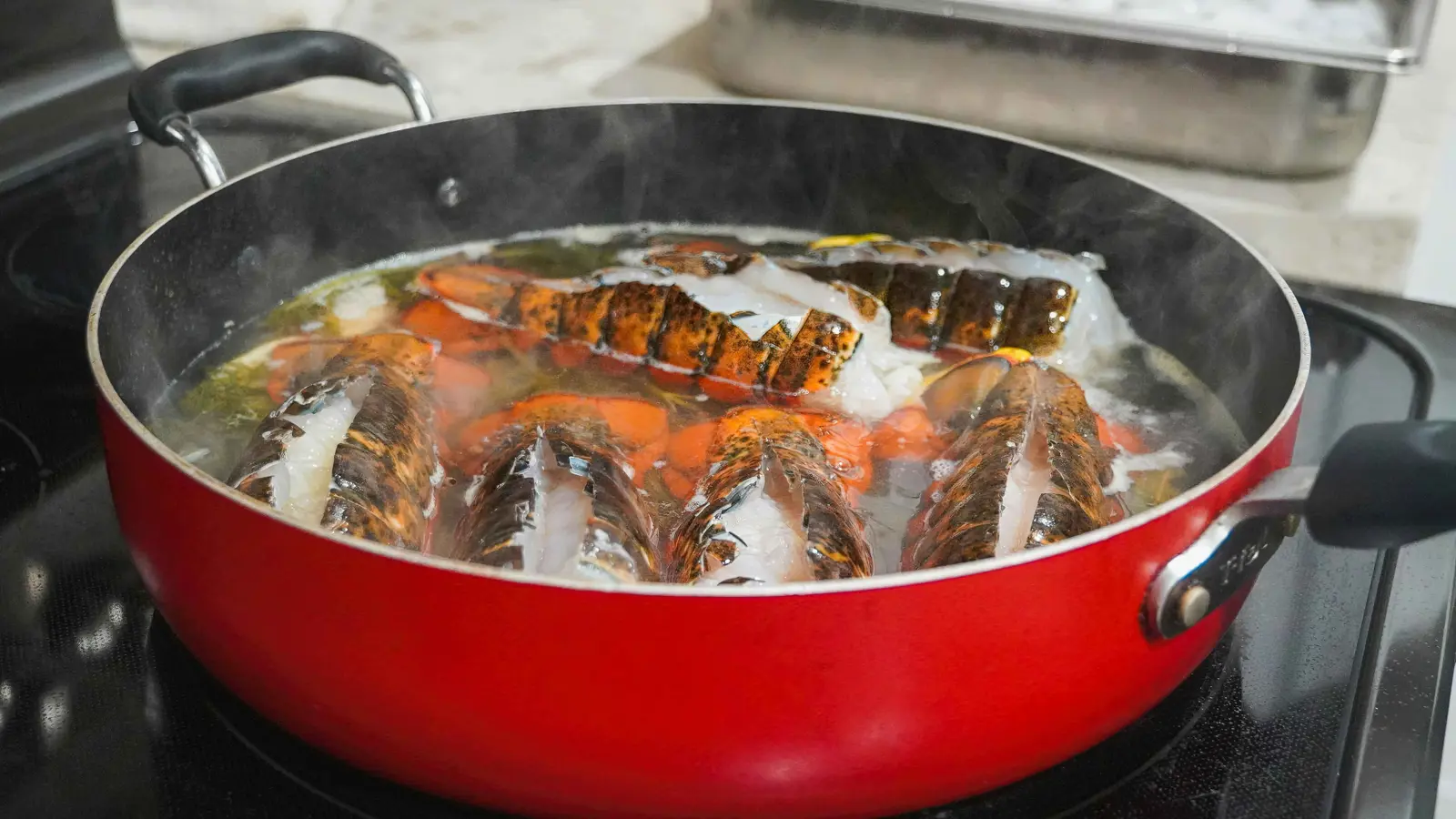 "تشعر بالألم".. دعاوى لحظر غلي الروبيان وجراد البحر حياً