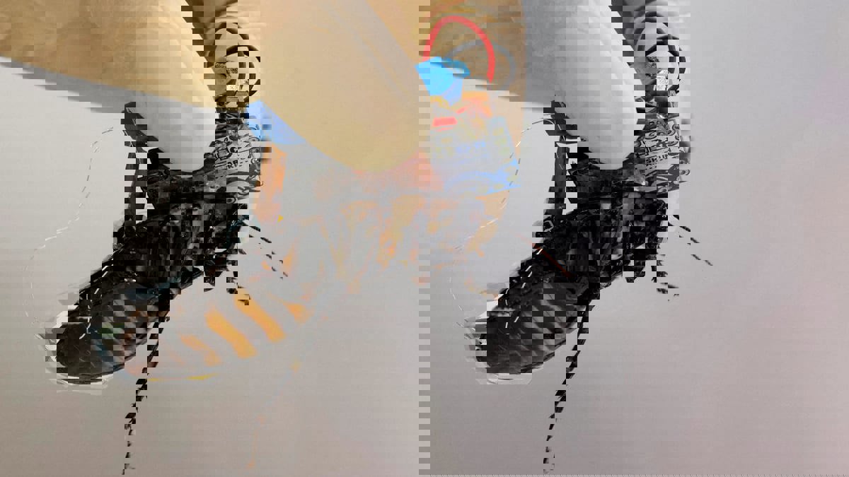 اليابان تستعين بصراصير مجهزة بمعدات للبحث عن ناجين في الكوارث