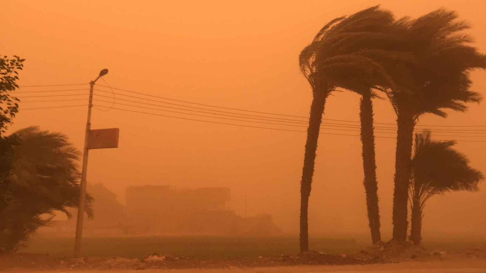 مصر تواجه "رياح الخماسين".. طوارئ وتحذيرات رسمية