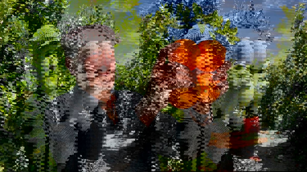 دراسة: البرتقال يحميك من السكري وأمراض القلب