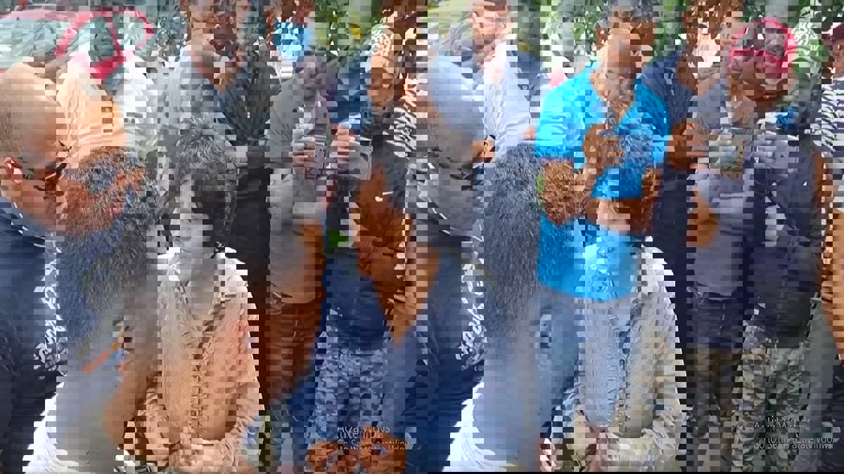 احتجاجا على نعتهم بـ"البلطجية".. موظفو بلدية تونسية يحاصرون مقر إذاعة خاصة(صور وفيديو)