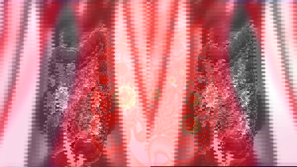 خريطة لروابط المناعة تفتح الطريق أمام علاجات جديدة