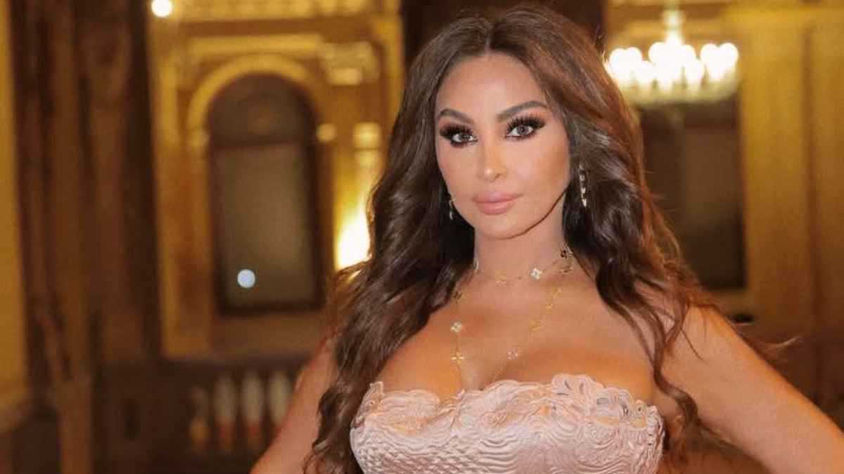 المتهم فر من لبنان.. إليسا تتعرض لعملية نصب بقيمة 2.7 مليون دولار (فيديو)