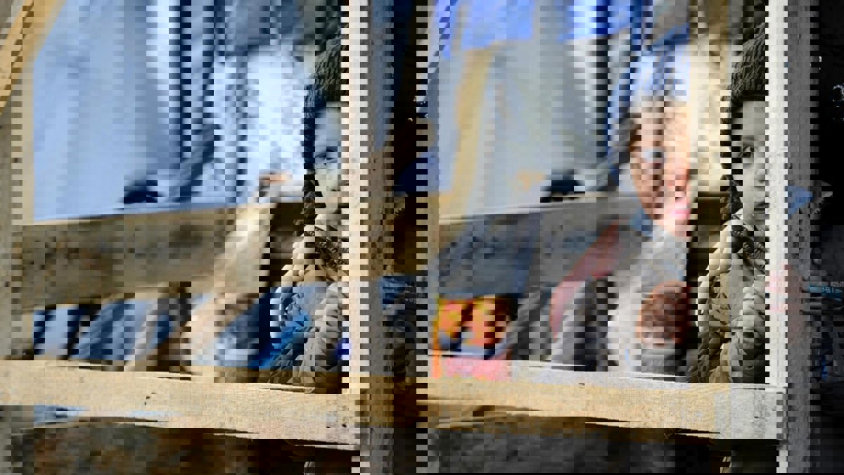 قفزة مثيرة للقلق.. الفقر يتزايد في أمريكا وسط جهود لإنقاذ الموقف