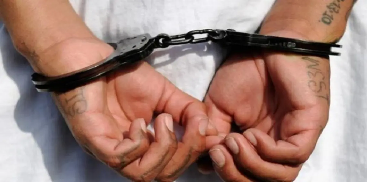 الإمارات.. 7 باكستانيين يقتلون شخصًا بـ "مضارب الكريكيت"