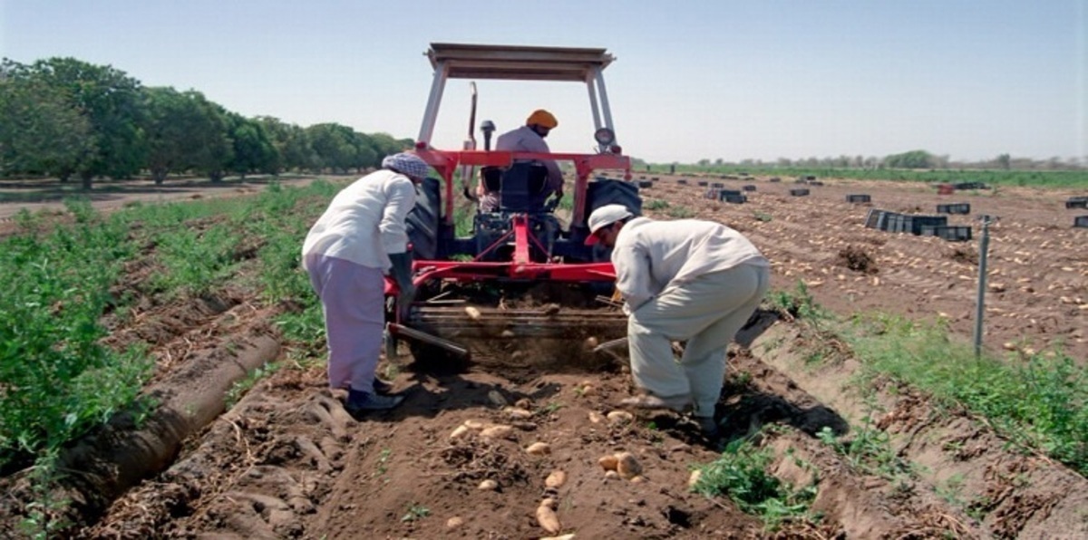 9.4 % نمو قطاعي الزراعة والثروة السمكية في سلطنة عُمان