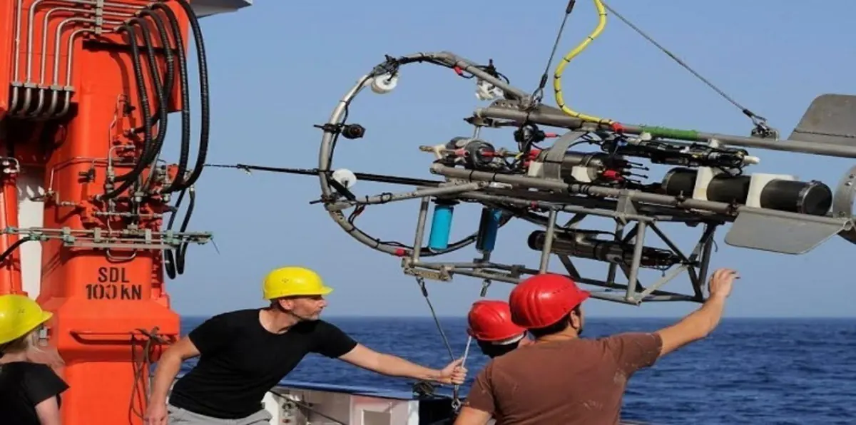 بالصور.. لأول مرة رصد مخلوقات بحرية عجيبة كأنها من الفضاء 