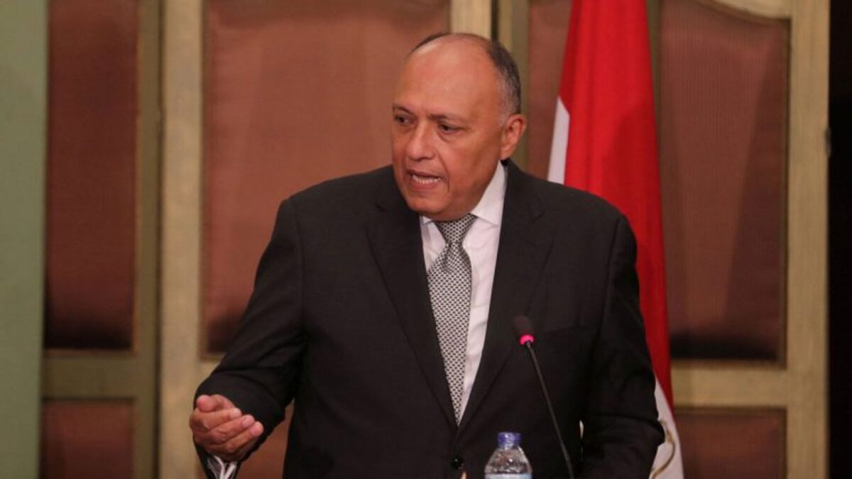 وزير الخارجية المصري: فشل الاجتماع الثلاثي بشأن سد النهضة "يثير الدهشة"