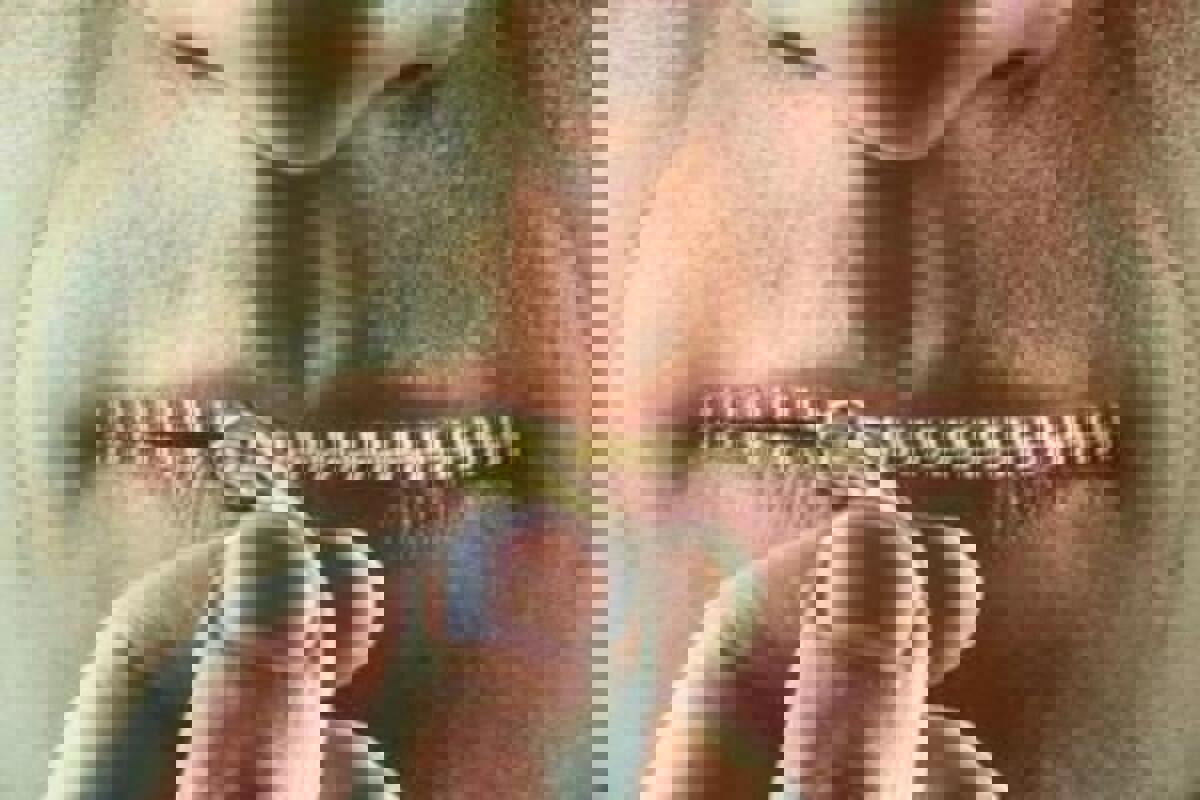 الكويتي داوود حسين يتزوج هالة صدقي