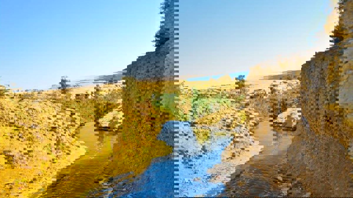 مصر تخطط لإنشاء ملاذ آمن للحياة البرية في الفيوم