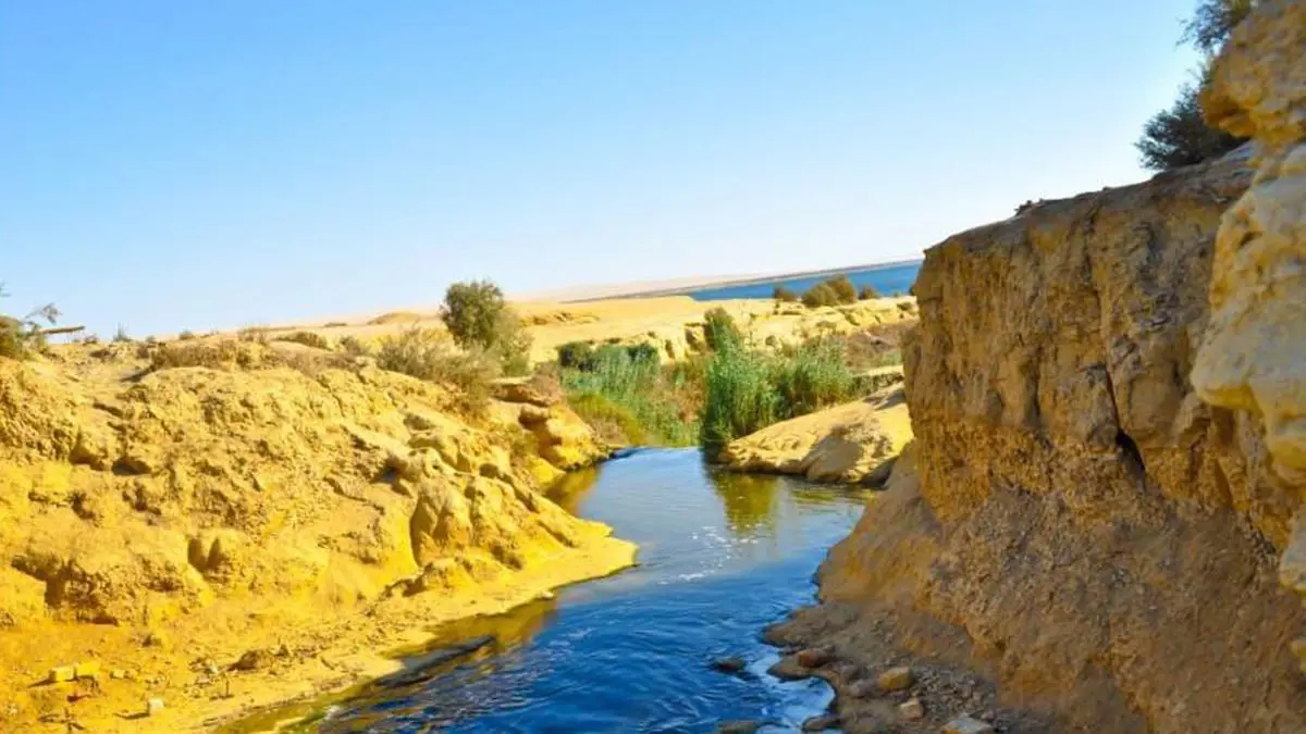 مصر تخطط لإنشاء ملاذ آمن للحياة البرية في الفيوم