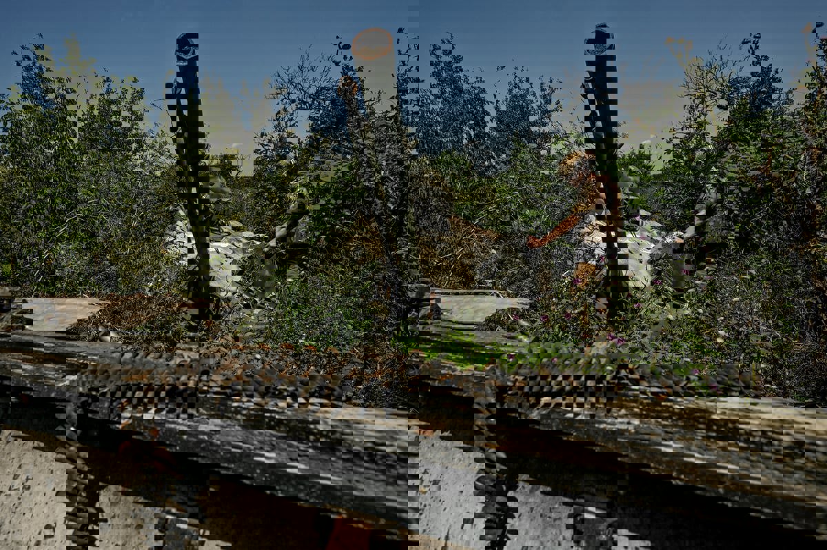 موسكو تعلن استهداف مخازن يورانيوم منضب في أوكرانيا