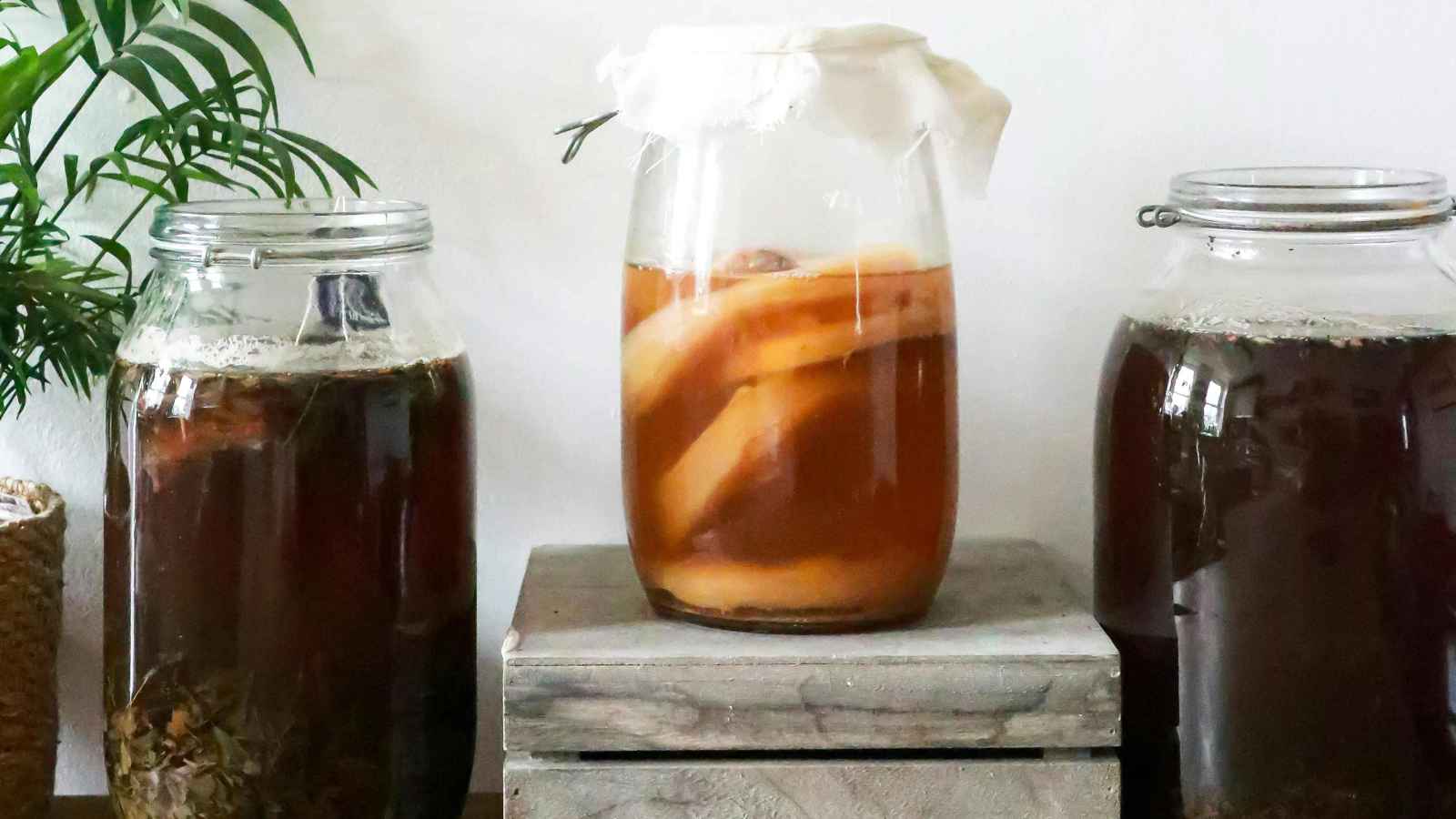 هل يستحق شاي الكومبوتشا الضجة؟ إليك فوائده ومخاطره