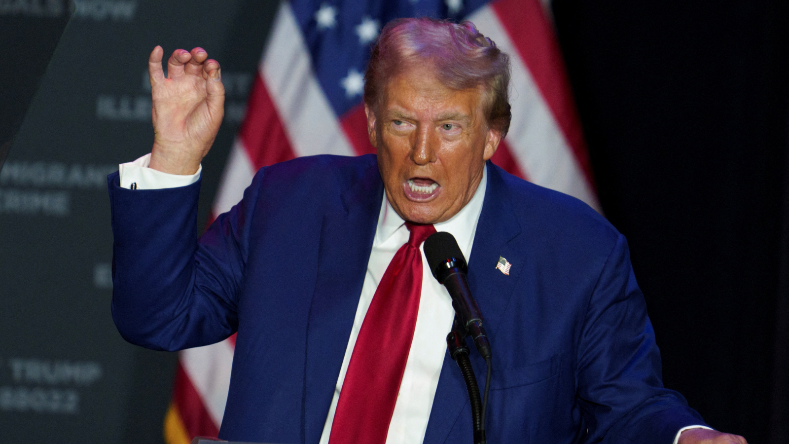 ترامب يصَعد لهجته ضد المهاجرين ويصف هاريس بـ"المعاقة ذهنيا"