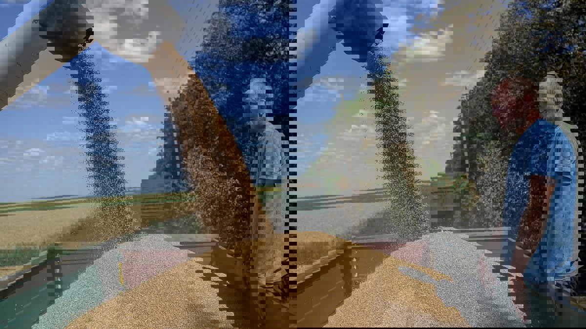 بعد اتفاق تصدير  الحبوب الأوكرانية.. شركات تأمين الشحن تواجه المجهول