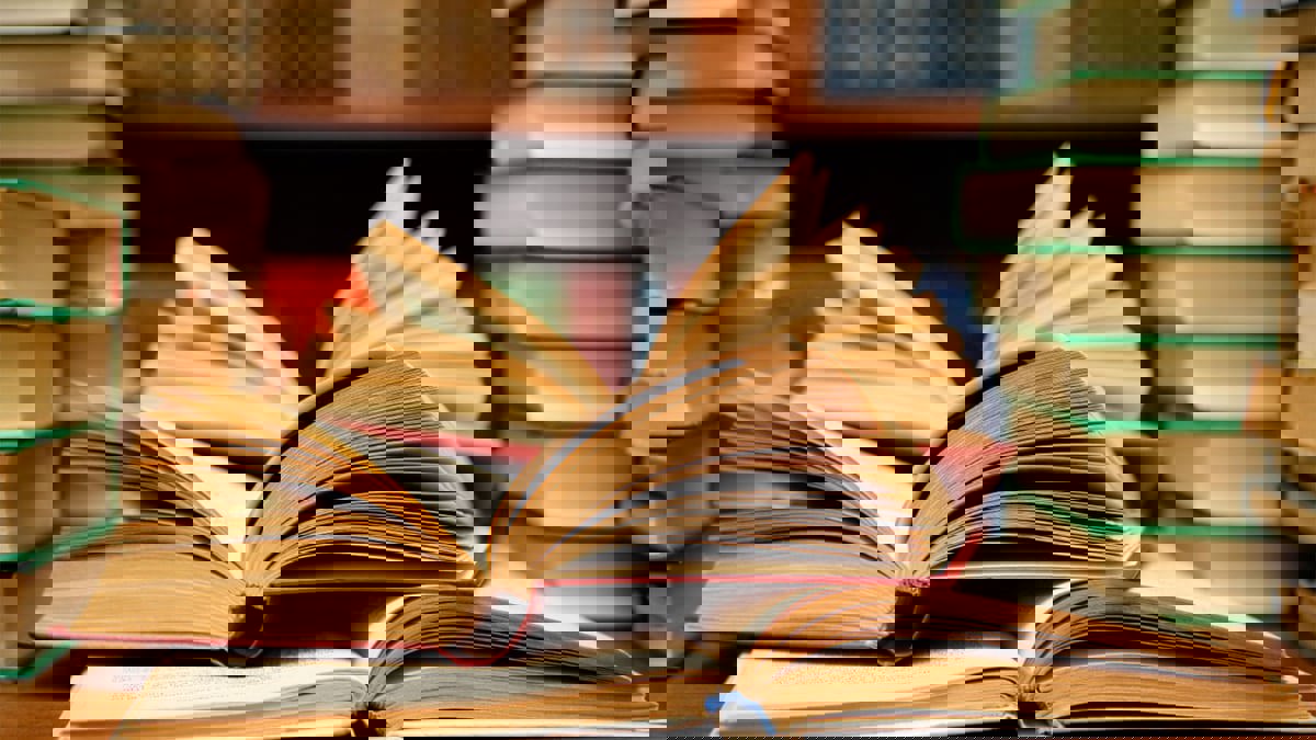  "من قتل أيضا نهلة كامل؟".. صرخة شِعر في وجه الفساد والغدر