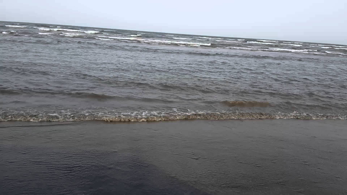 قتيل و 25 مصابا بسبب كائن بحري غريب في عدن (صور)