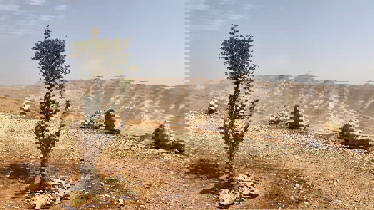 ما هي أقدم مدن العالم؟