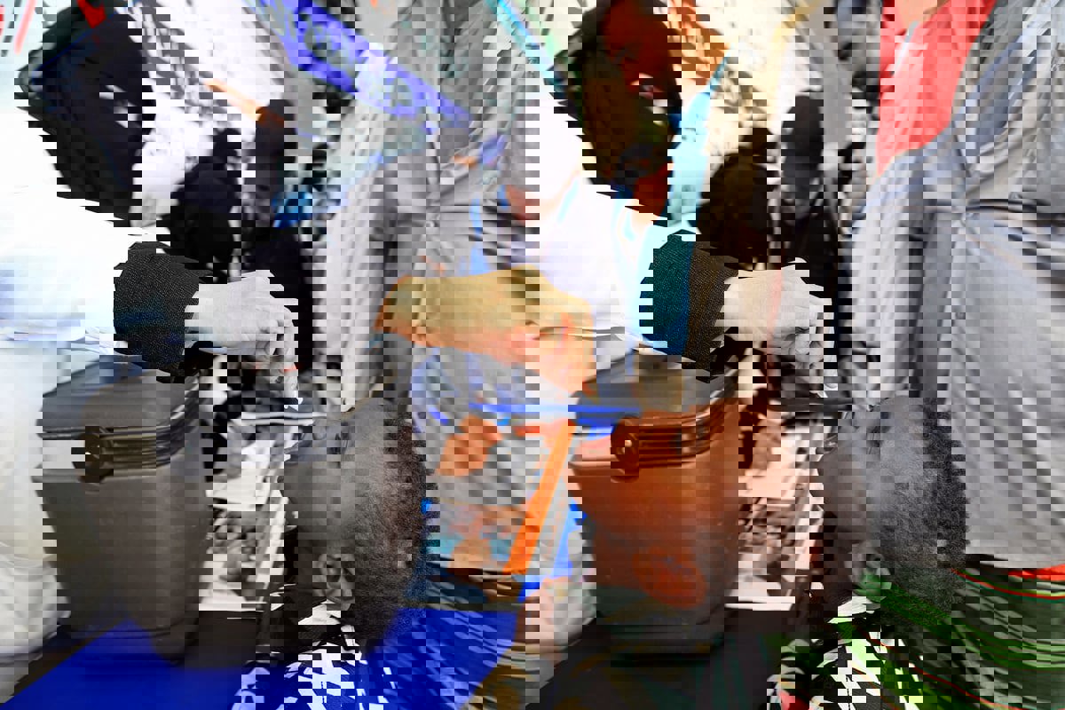 الكوليرا تغزو أبين اليمنية.. ومخاوف من تحولها إلى وباء