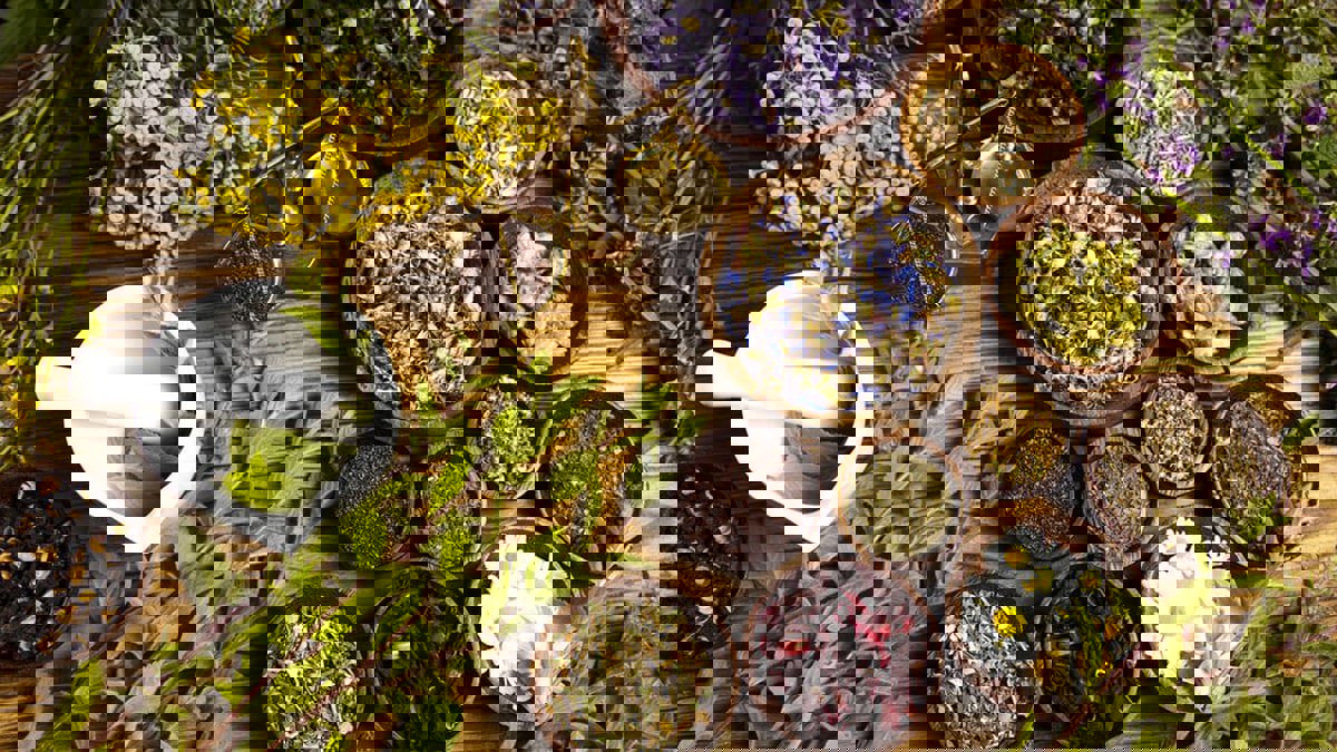 أفضل 5 أعشاب طبيعية تعالج القلق