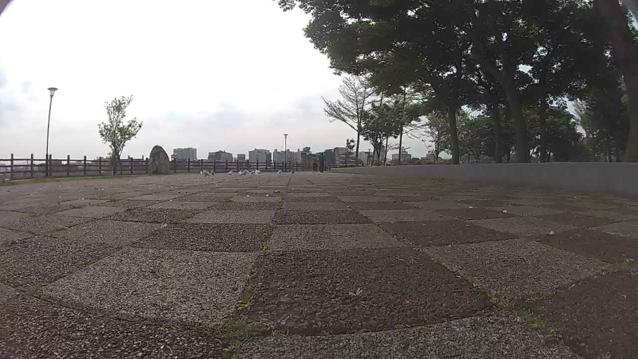 زلزال بقوة 5.8 درجة يضرب تايوان (فيديو)