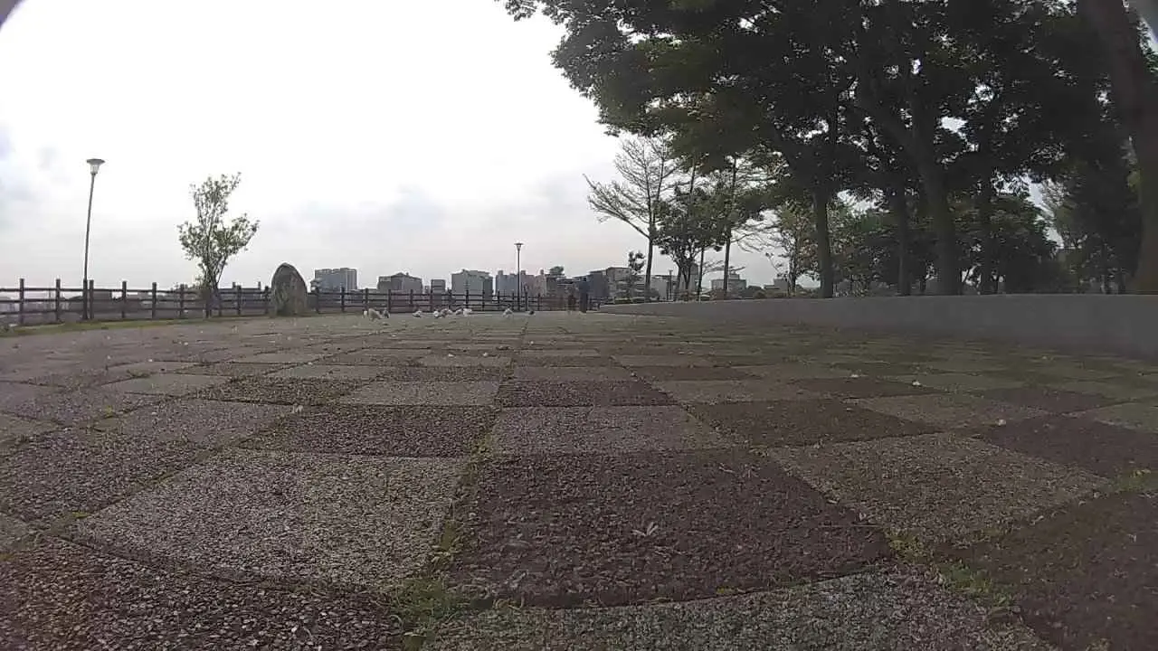 زلزال بقوة 5.8 درجة يضرب تايوان (فيديو)