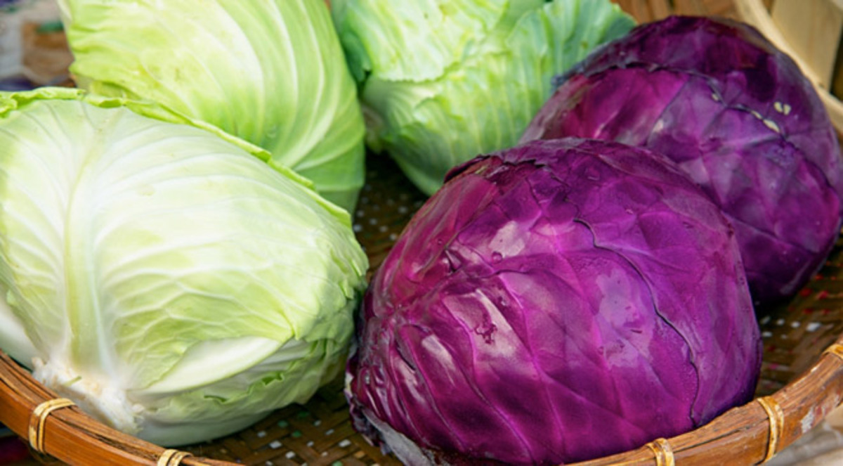 دراسة: تناول الملفوف يقلل حجم الأورام السرطانية