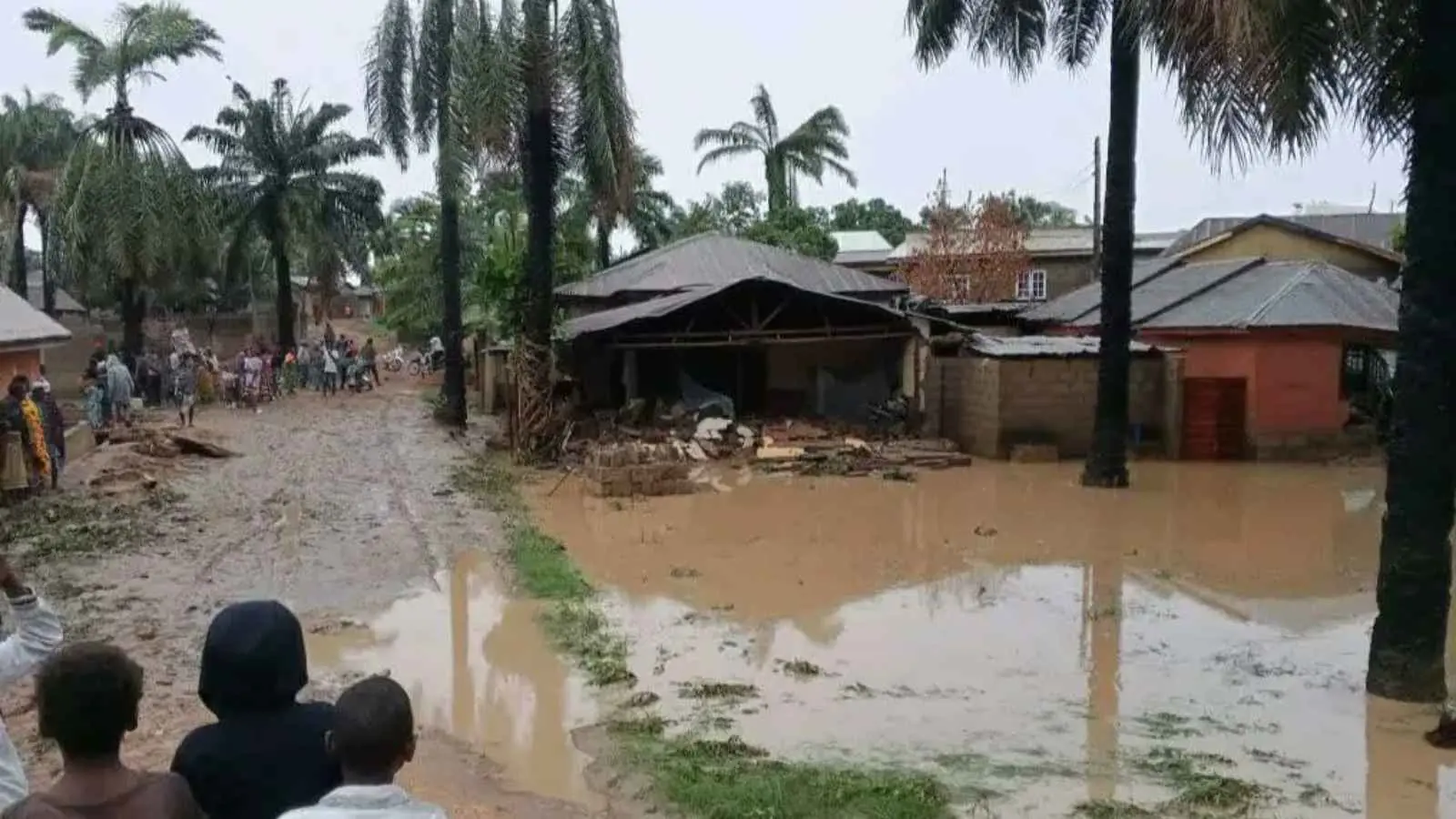 تحذيرات من فيضانات مدمرة تشمل أكثر من نصف محافظات نيجيريا