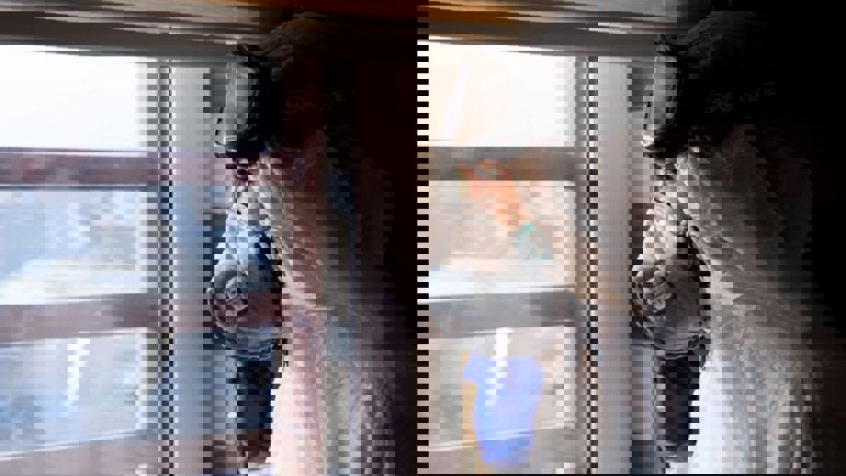 أقل من إغلاق وأكثر من حظر