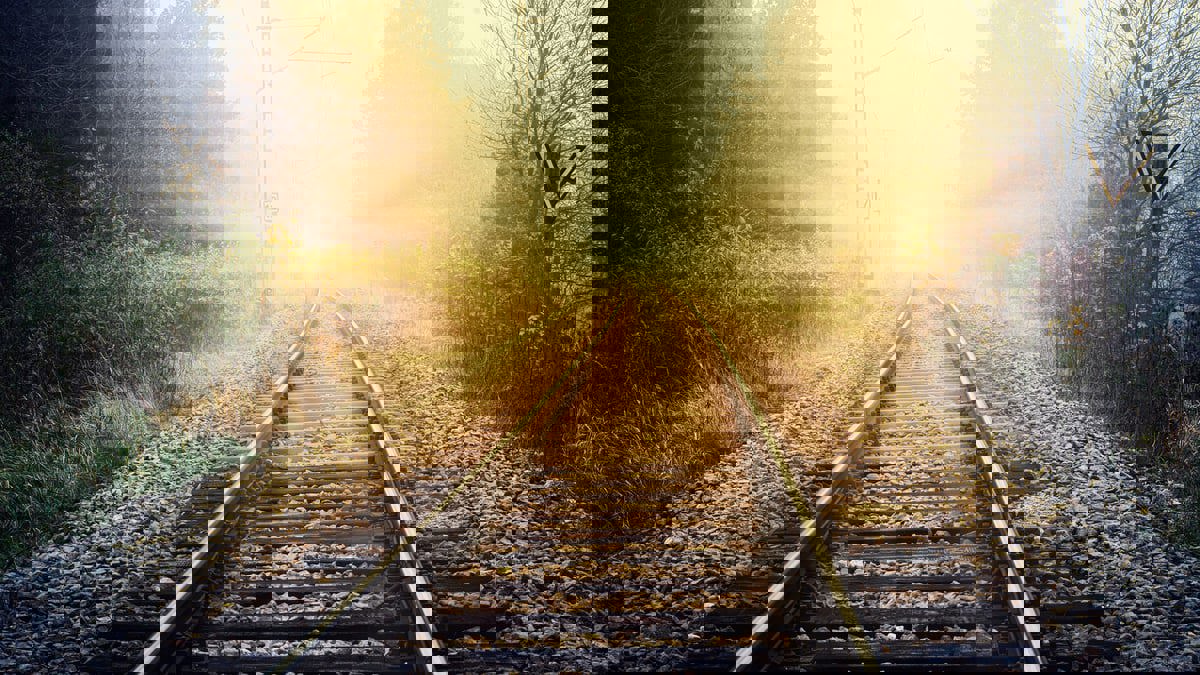 وصايا لم يقلها الشيخ عبد ربه التائه