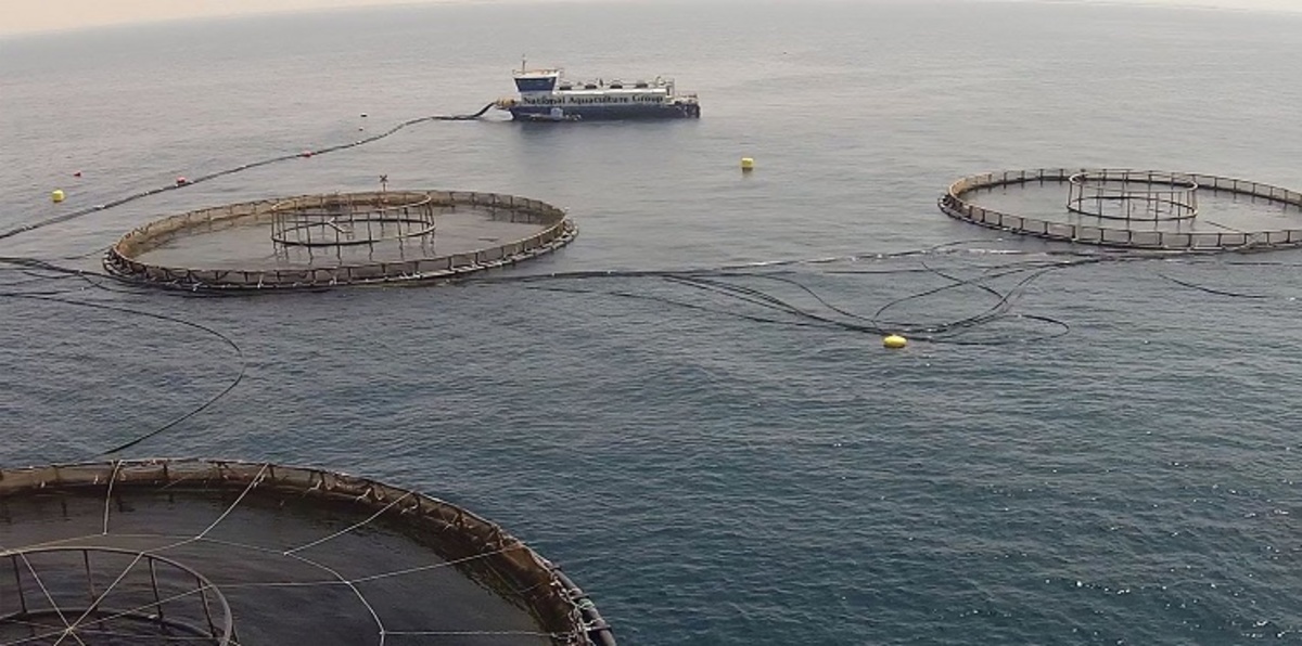 "أكوا" السعودية تتوقع مشاريع بجنوب افريقيا رغم مخاوف العملة