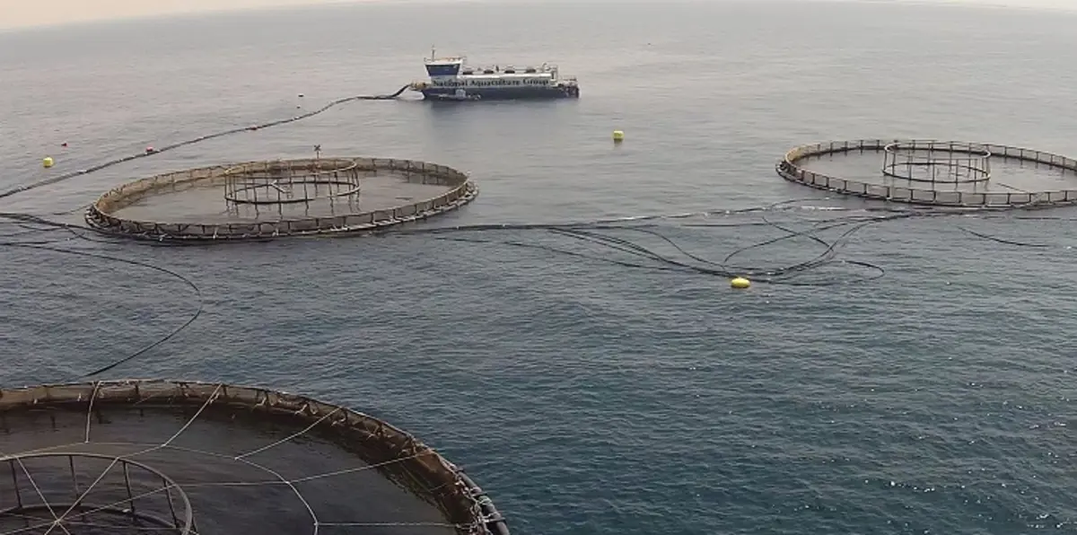 "أكوا" السعودية تتوقع مشاريع بجنوب افريقيا رغم مخاوف العملة