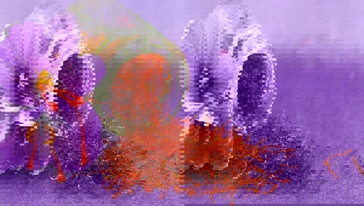 يكافح السرطان ويسهل النوم.. تعرف على الفوائد الصحية للزعفران