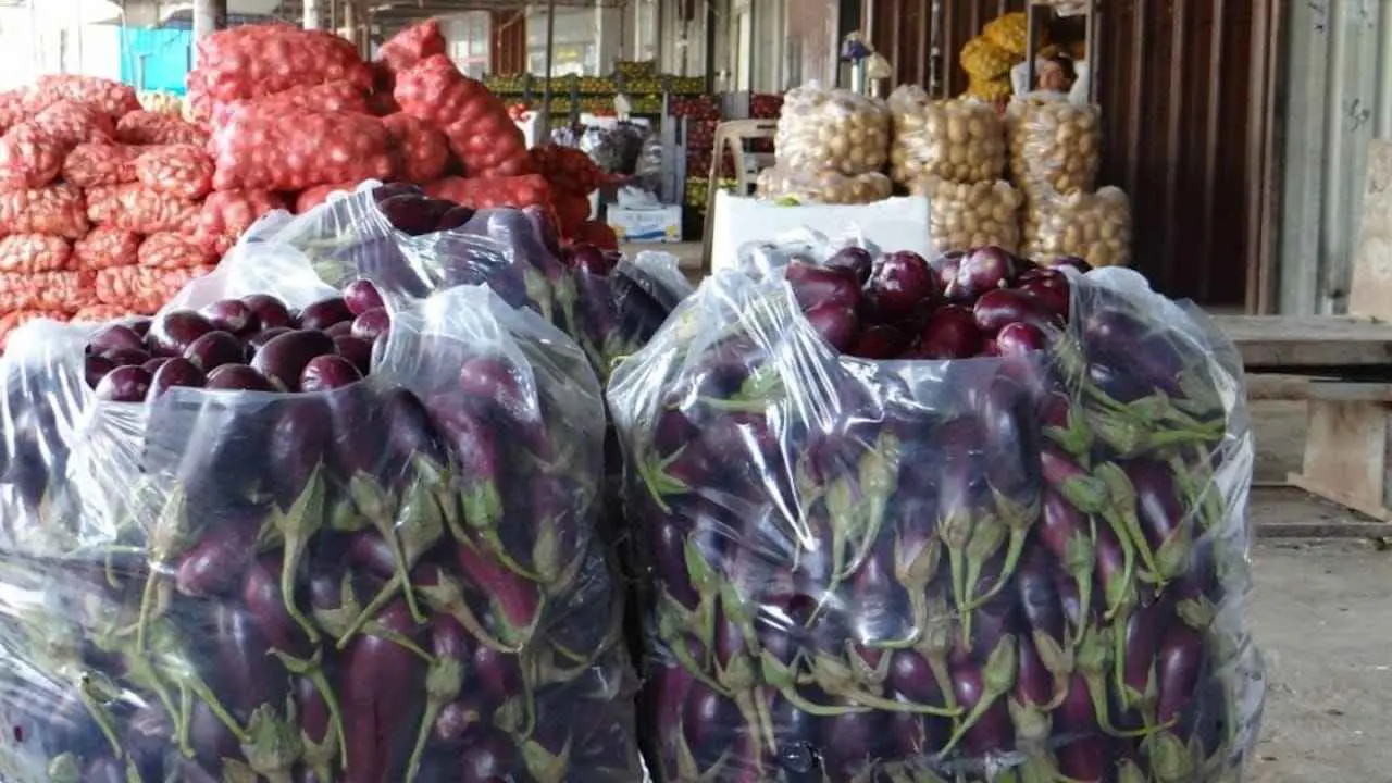 مسؤول سوري: انخفاض في أسعار الخضار والفواكه واستئناف التصدير قريباً