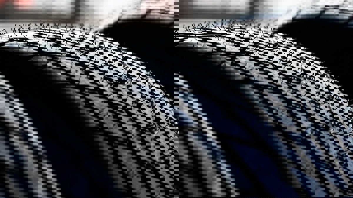 "أودي" تطور مرشحات لجمع جزيئات الإطارات المتآكلة