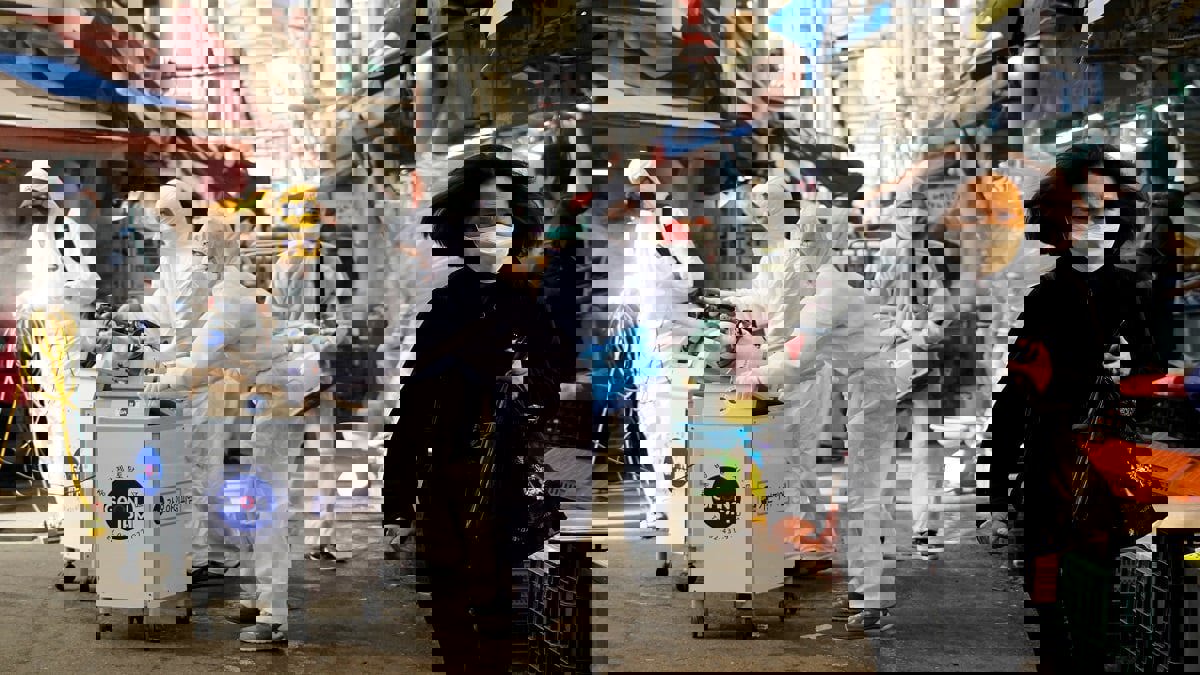 الكوريون الشماليون بين مأساتين.. عزلة "كورونا" الخانقة وإثبات الولاء المطلق للنظام