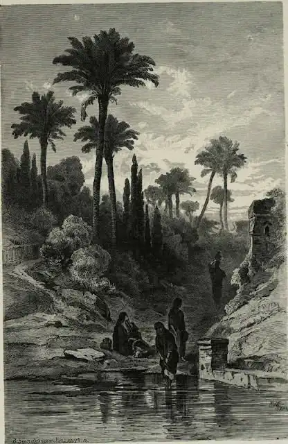 توثيق الحياة في الشرق