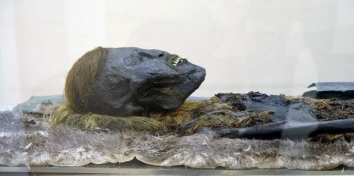 العثور على مومياء طفل محفوظة منذ 800 عام في سيبيريا