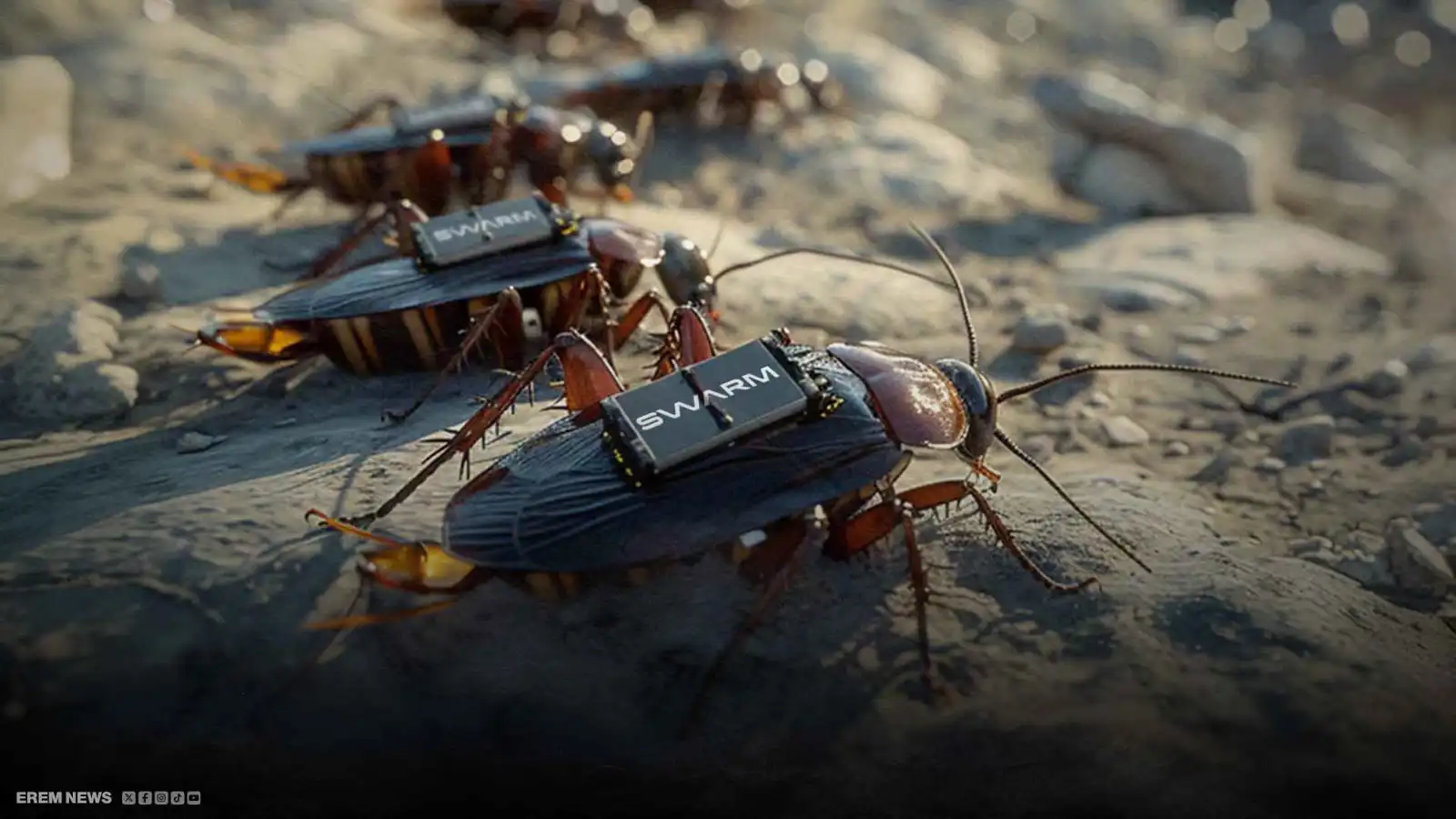 حرب بلا ضجيج.. "حشرات التجسس" تشق طريقها إلى منظومات الناتو (فيديو إرم)