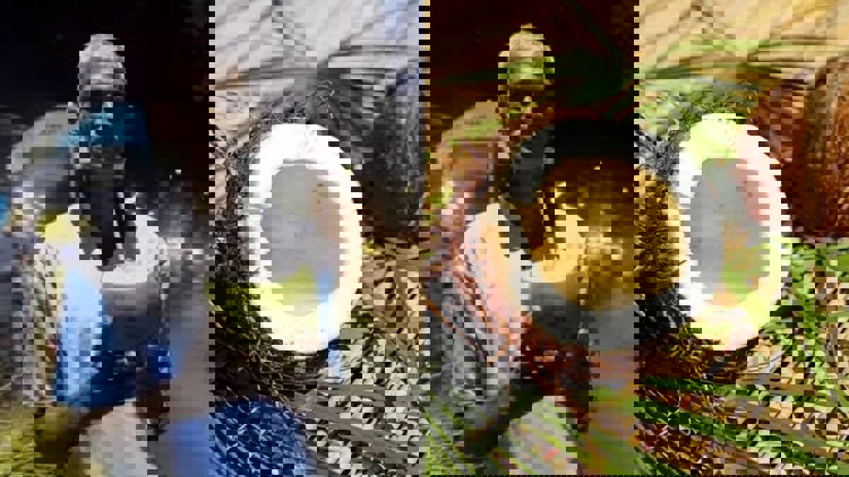 هندي لا يتناول سوى جوز الهند منذ 28 عاما.. لماذا؟