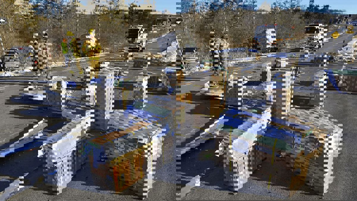 أمريكا.. "القتل الرحيم" لقرود هربت أثناء نقلها لمختبر