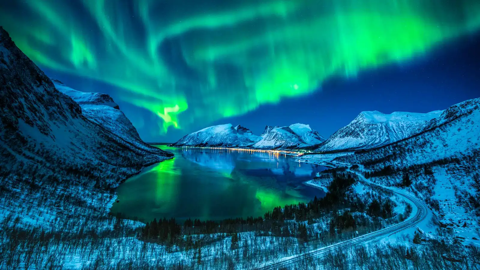 أكبر شفق قطبي يزيّن السماء في يناير 2026