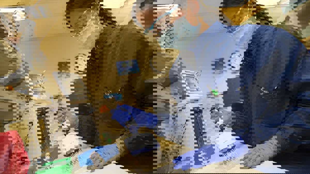 لقاح تجريبي يثبت فعاليته في محاربة فيروس كورونا لدى القردة