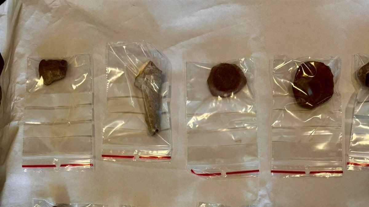 مصر تتسلم مجموعة أثرية نادرة من هولندا