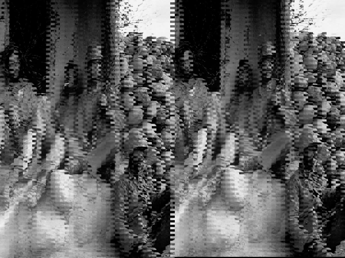 ليس للعقول ثقوب