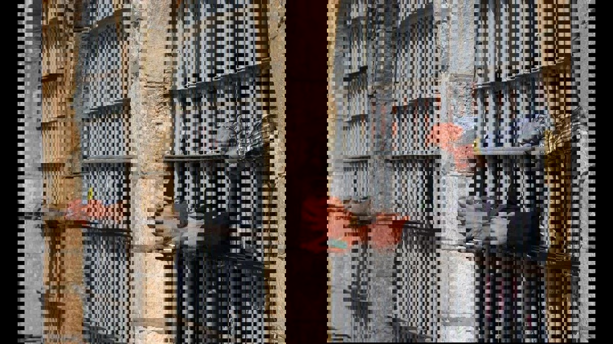 إيران تعلن الإفراج عن نحو 70 ألف سجين بسبب كورونا‎