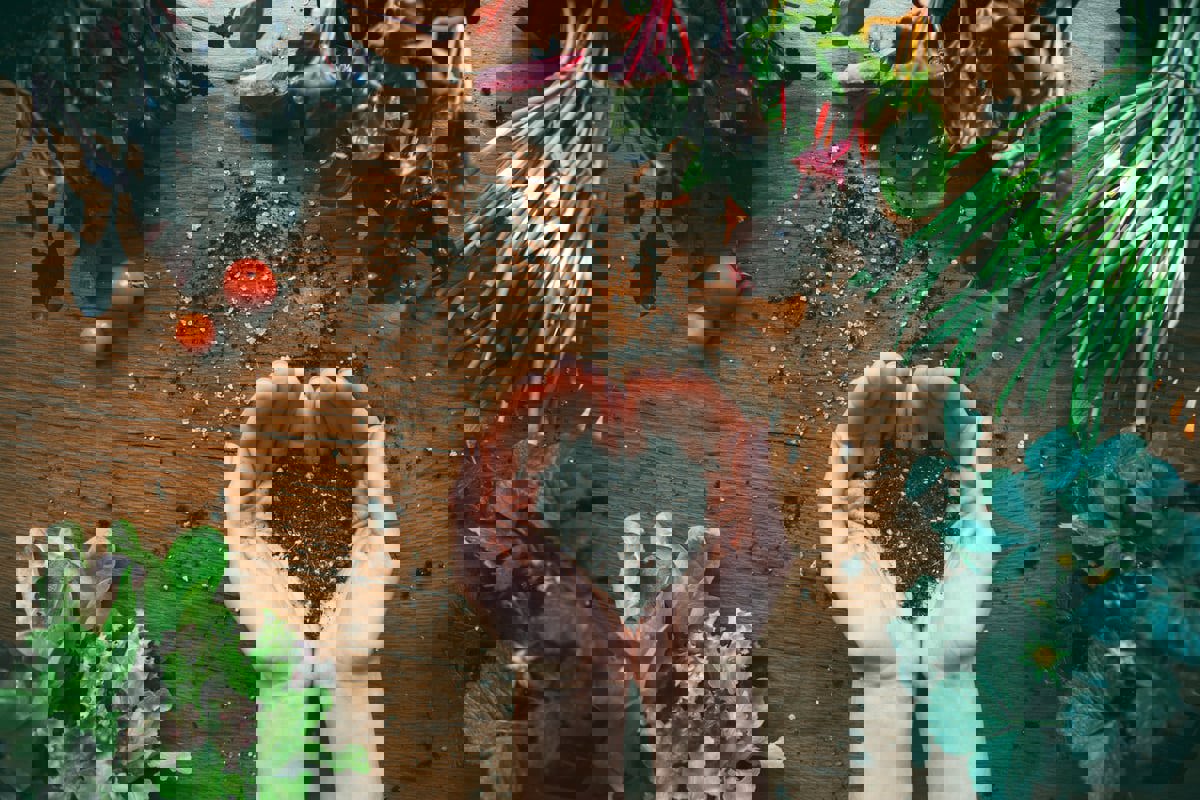 ليس البشر فقط.. النظام الغذائي الصحي يحمي الأرض أيضا